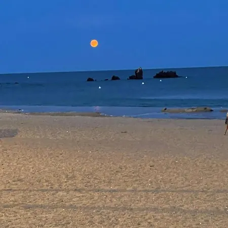Entre 2 Plages : Vue Exceptionnelle Proche De La Et Du Centre 3* Agde